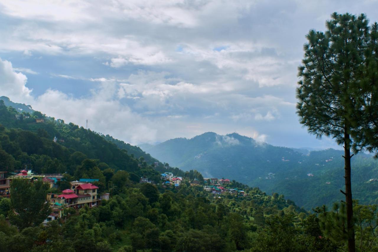 Sunrise View Homestay Kasauli Zewnętrze zdjęcie