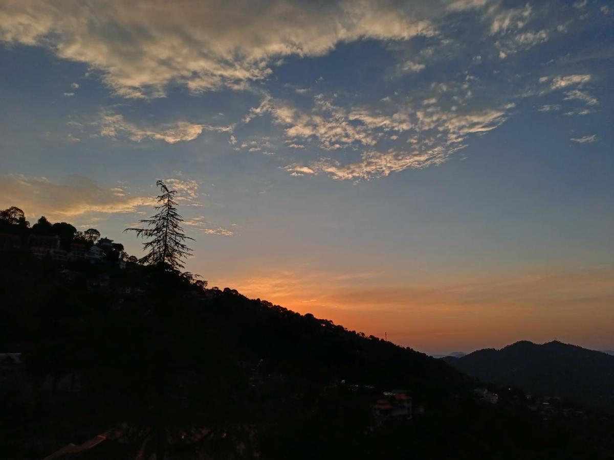 Sunrise View Homestay Kasauli Zewnętrze zdjęcie